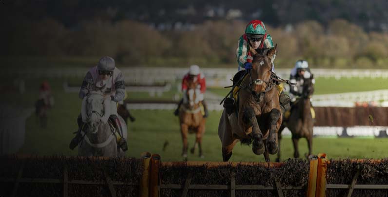 Cheltenham & Newmarket
